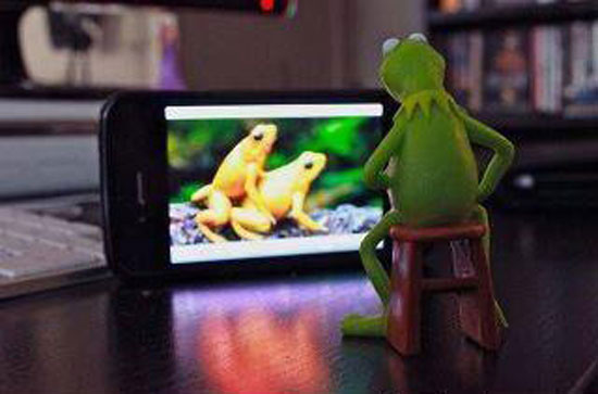 FrogPorn