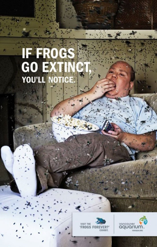 frogs forever