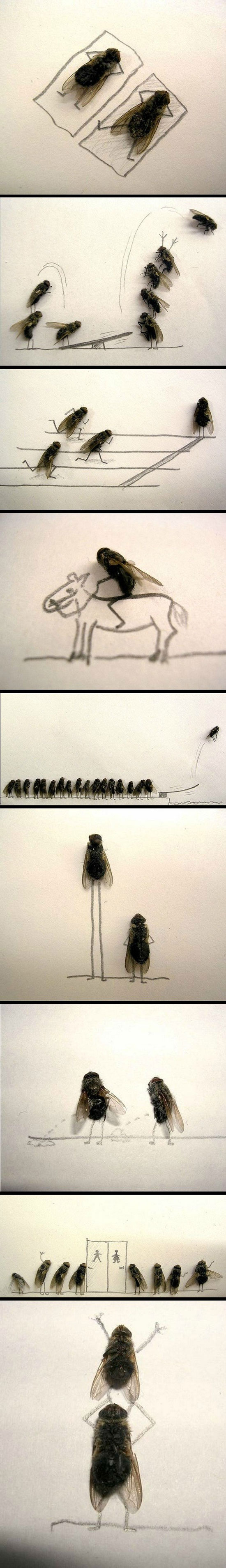 fun with flies 4829