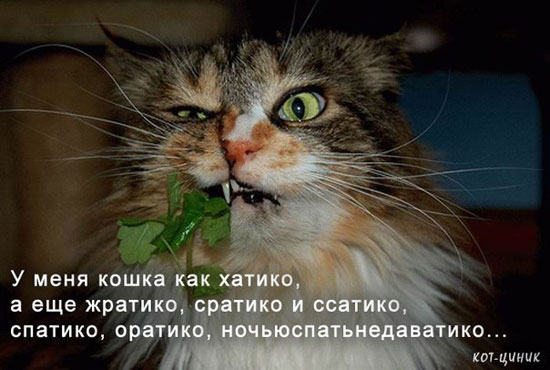 fuuuuuuuuuuuuuuuuuuu