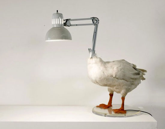 Gaense Lampe