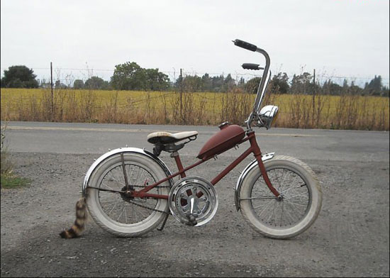 geiles bike