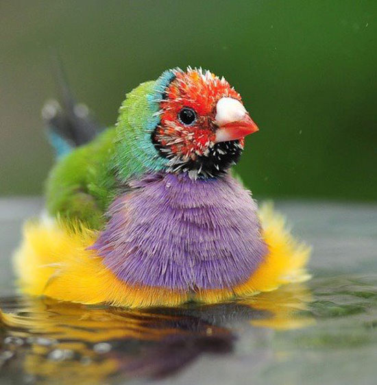 Geniale Farben