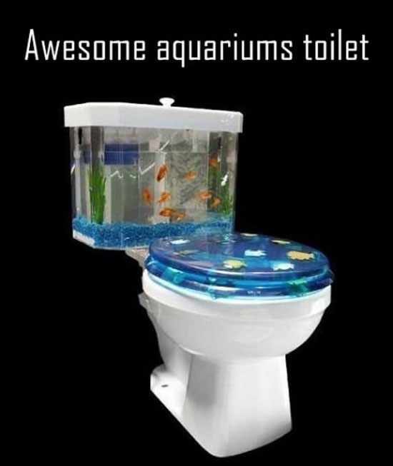 Geniale Toilette