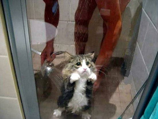 get me out of here please
