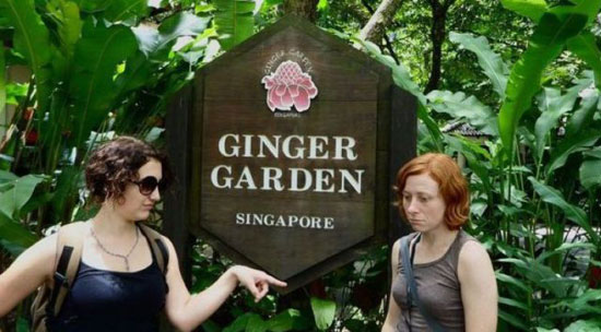 Gingergarden