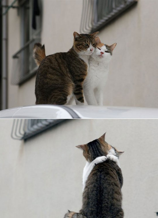 give me a hug baby