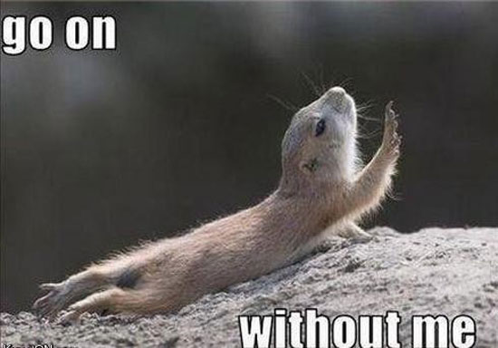 go on without me