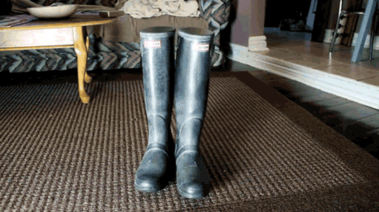 gummistiefekatze GIF
