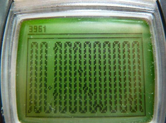Snake Weltrekord