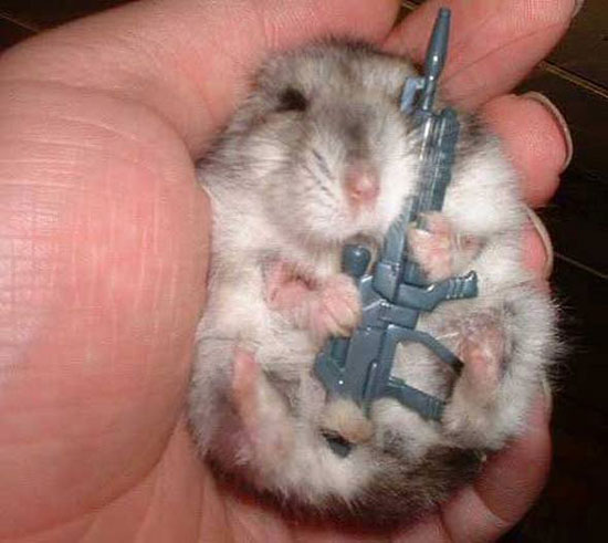 hamster rambo