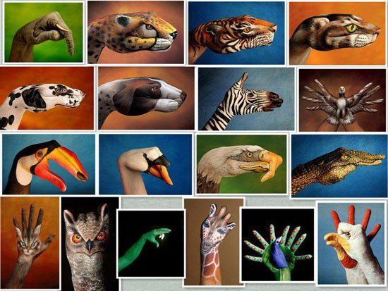 HandPaint Animales