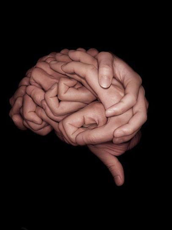 Handsome Brain