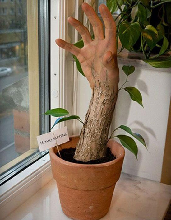 HandTree