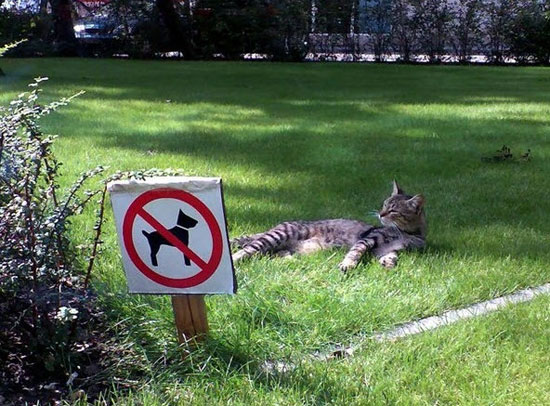 Haters Gonna Hate...