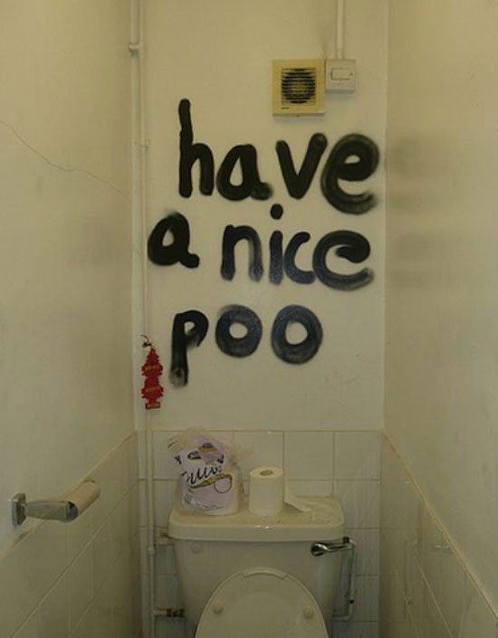 have a nice poo 4533