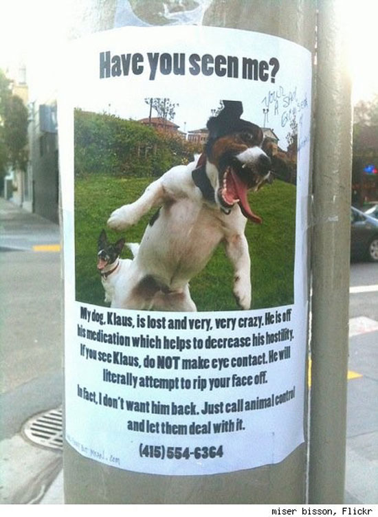 have you seen me