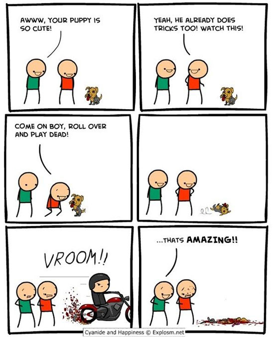 he can do tricks too