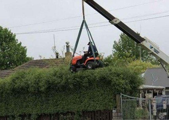 hecken schneiden like a boss