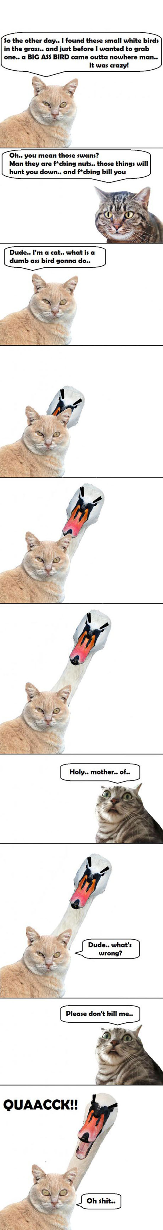 heilige scheisse