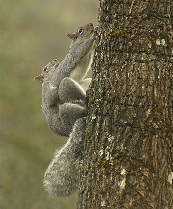 helping each other out