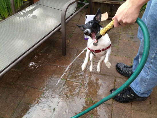 her mit dem wasser