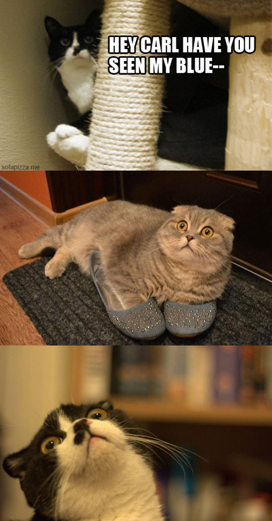 hey carl have you seen my blue