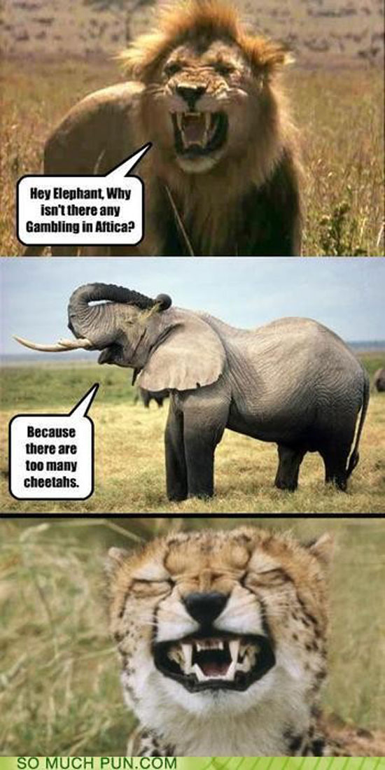 hey elephant