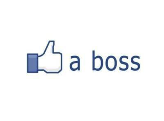 Liek a Boss - Facebook edition