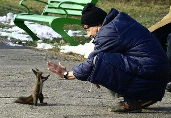 high five