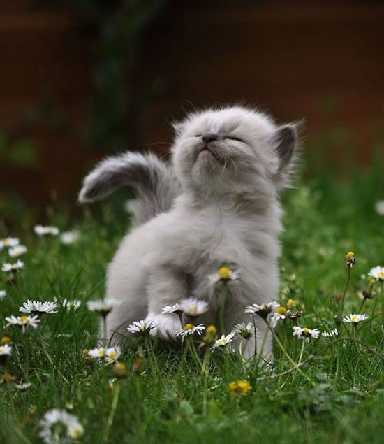 hmmmmfresh air