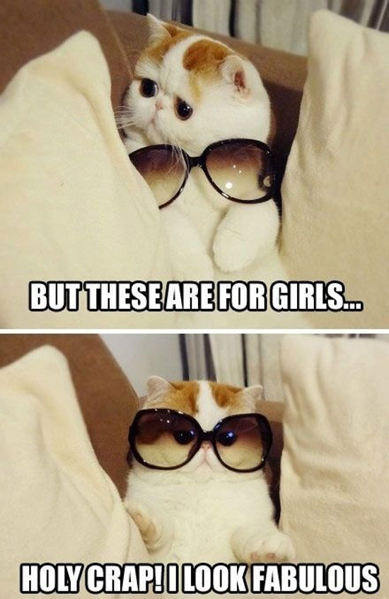 Holy Crap fabulous