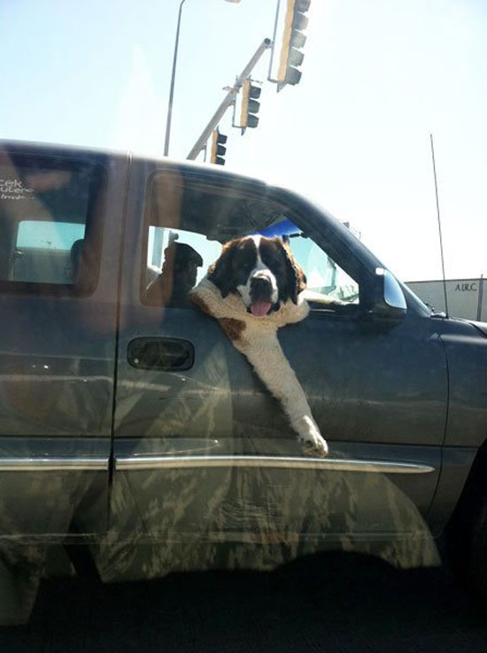 hop in