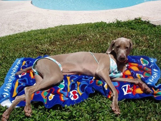 hot summer day