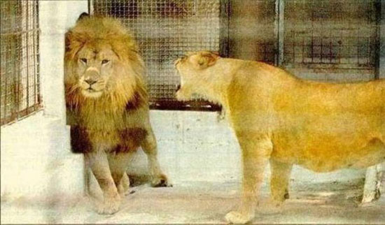 how marriage feels like
