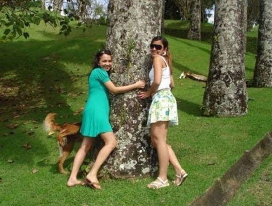 hug a tree