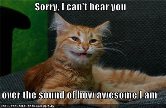 i am awesome