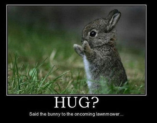 i give free hugs