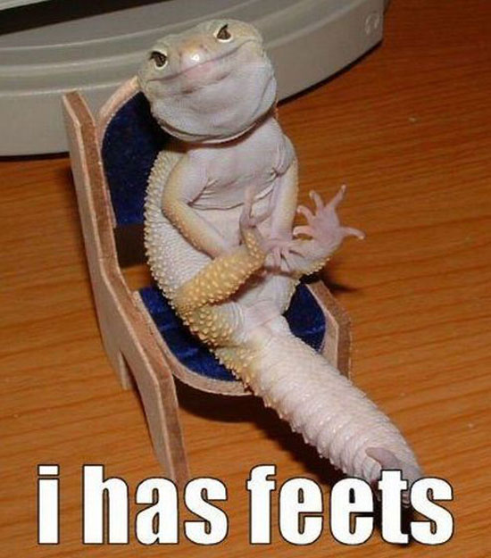 i has feets