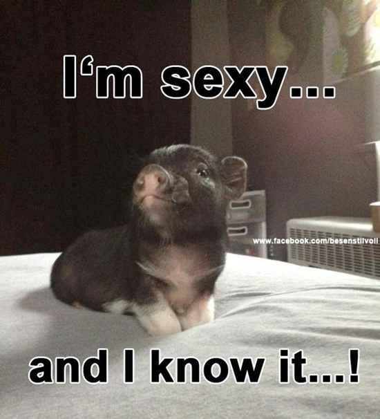 I'm sexy...