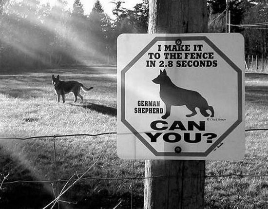 i make it to the fence in 28 seconds  can you 4030