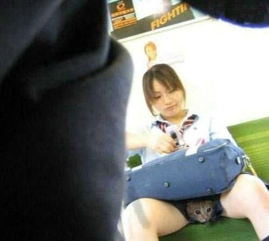 i see yout pussycat