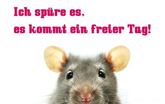 Ich spüre es