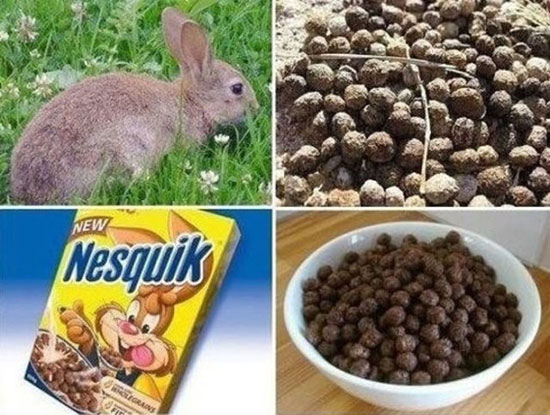 Ich wusste es...