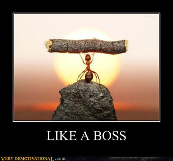 ike a boss - superstrong ant