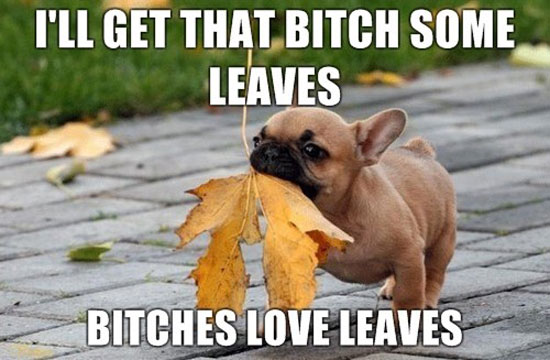 ill get that bitch some leaves