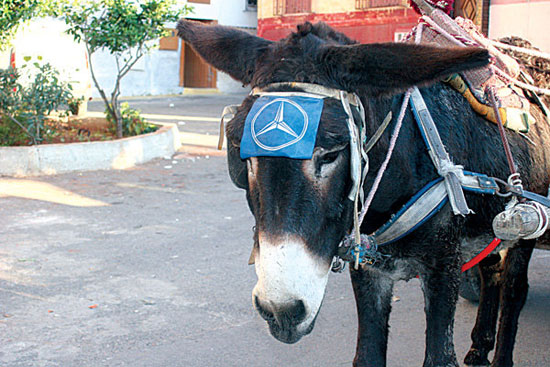 im the benz