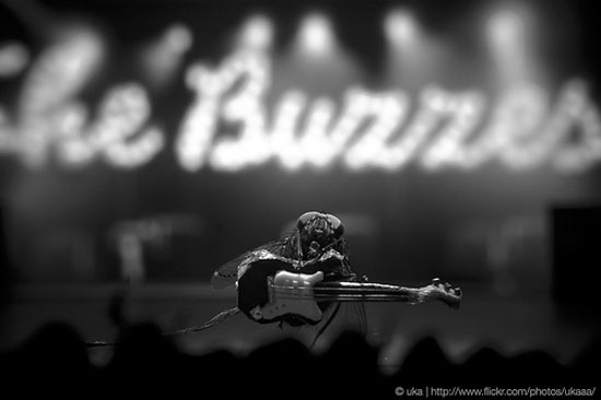 in concert