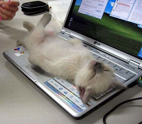 internet-addiction-41