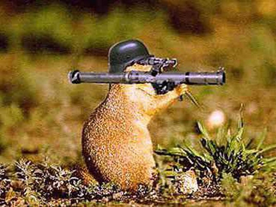 Granatwerfer Murmeltier